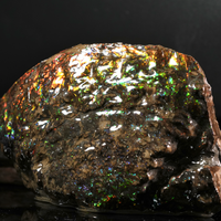 Polished Ammolite Stone #2540