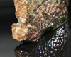 Polished Ammolite Stone #2540