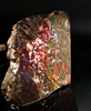 Polished Ammolite Stone #2542