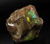 Polished Ammolite Stone #2545