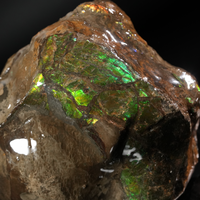 Polished Ammolite Stone #2545