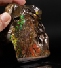 Polished Ammolite Stone #2545