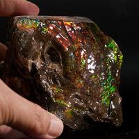 Polished Ammolite Stone #2545