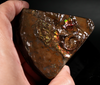 Polished Ammolite Stone #2551