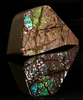 Polished Ammolite Stone #2553