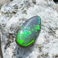 Freeform Natural Ammolite Loose Gemstone #A421