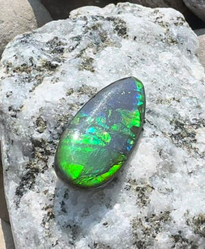 Freeform Natural Ammolite Loose Gemstone #A421