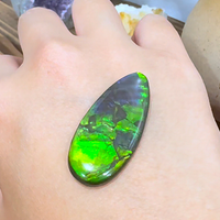 Freeform Natural Ammolite Loose Gemstone #A421