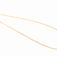 18" Rolo Vermeil Chain #2