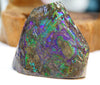 Polished Ammolite Display Stone #235