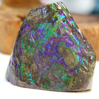 Polished Ammolite Display Stone #235