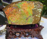 Ammolite Polished Stone #251