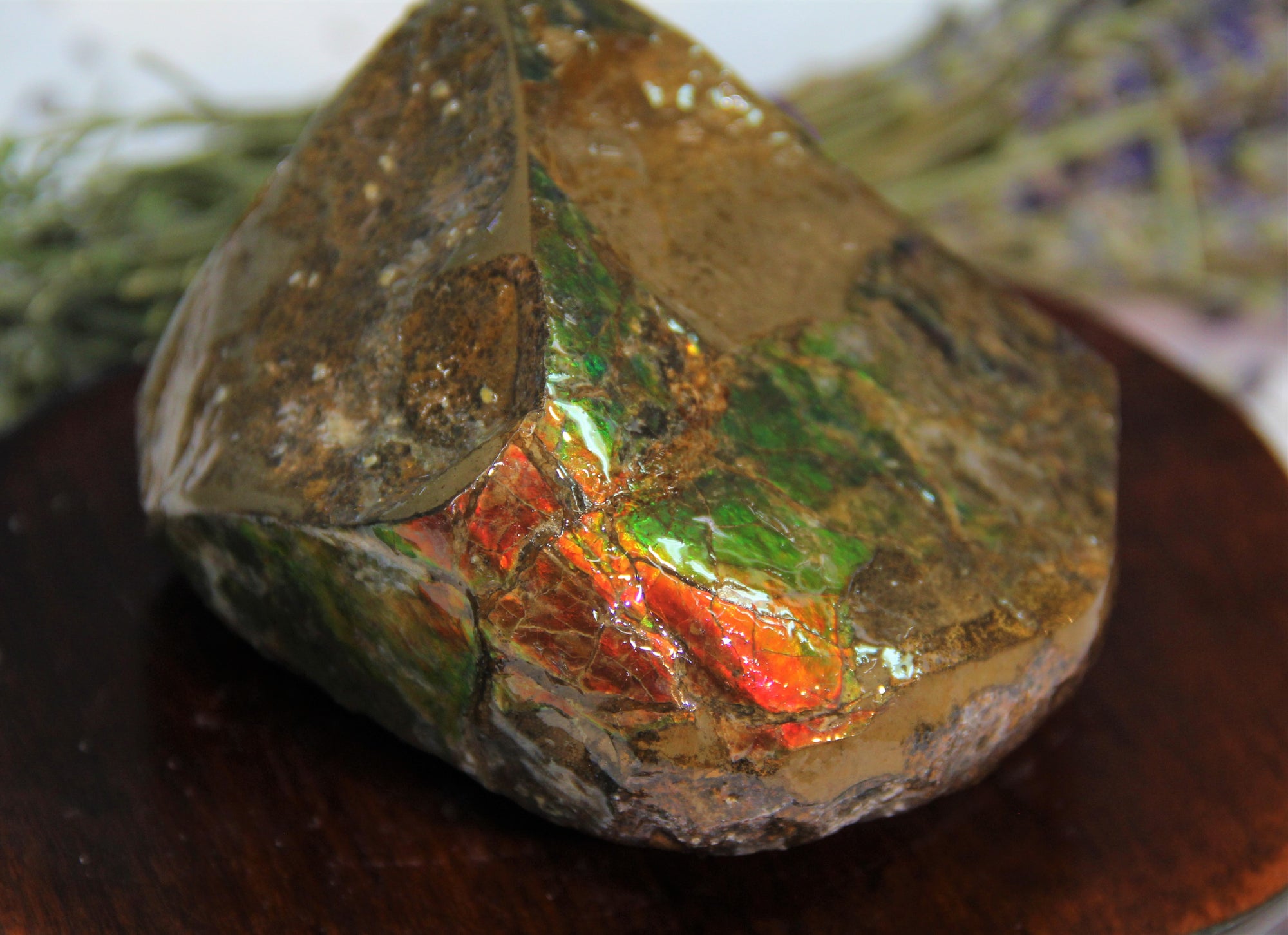 Ammolite Polished Stone #265