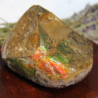 Polished Ammolite Stone #265