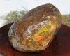 Polished Ammolite Stone #265