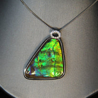 Whole piece of Canadian ammolite stone. Color changing from yellow, green, bluish green, to blue, high flash coloration. 