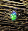 Ammolite Ring #362