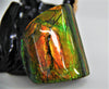 POLISHED AMMOLITE STONE #390