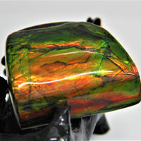 POLISHED AMMOLITE STONE #390