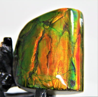 POLISHED AMMOLITE STONE #390