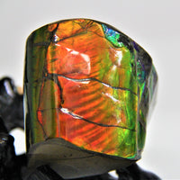 POLISHED AMMOLITE STONE #392