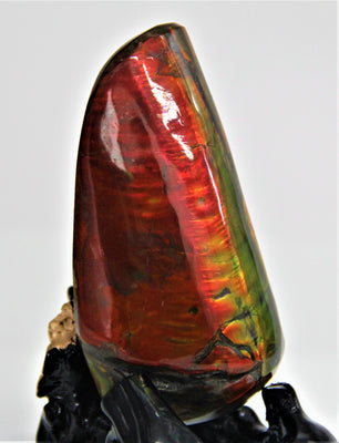 POLISHED AMMOLITE STONE #395