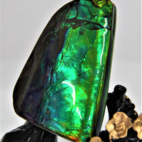 POLISHED AMMOLITE STONE #396