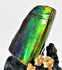 POLISHED AMMOLITE STONE #396