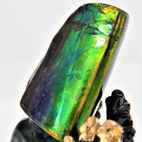 POLISHED AMMOLITE STONE #396