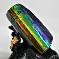 POLISHED AMMOLITE STONE #396