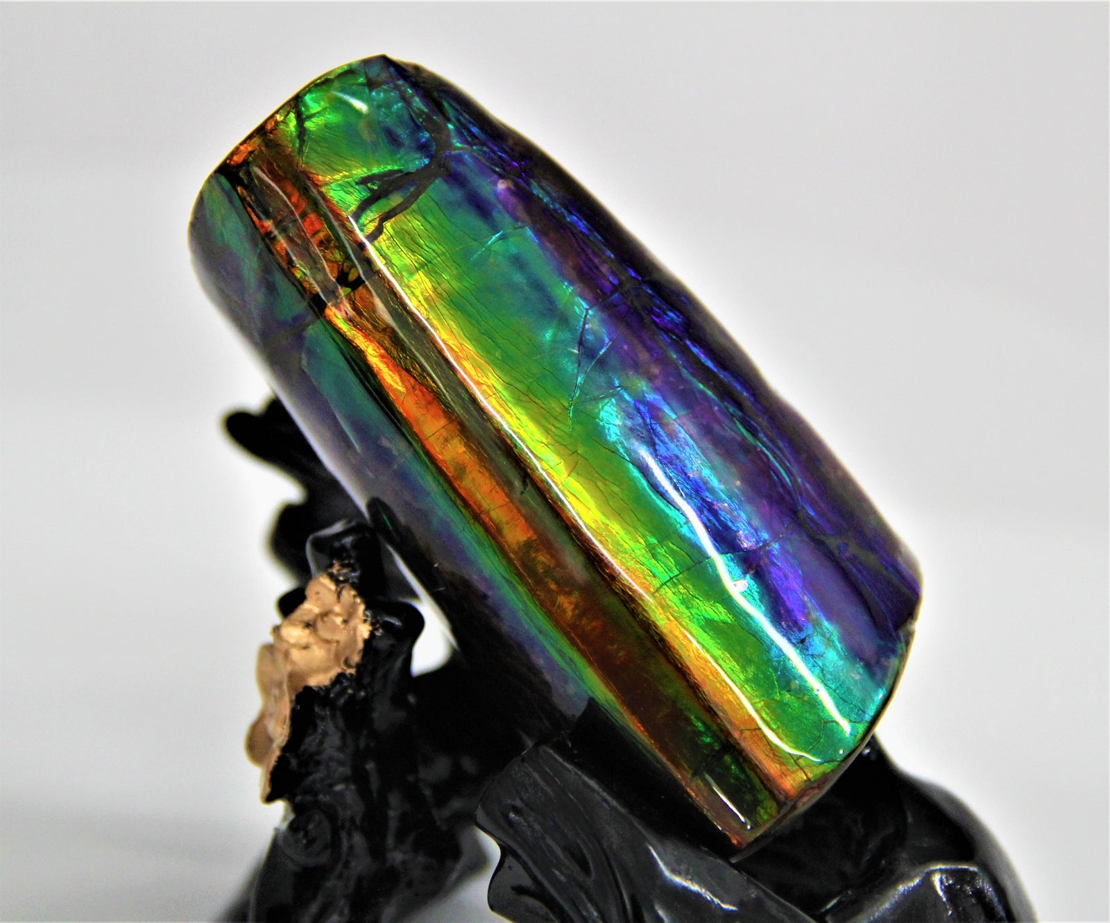 Ammolite Polished Stone #396