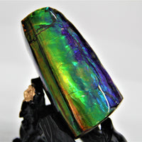 POLISHED AMMOLITE STONE #396