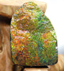 Ammolite Gem Stone #566