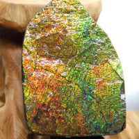 Ammolite Gem Stone #566