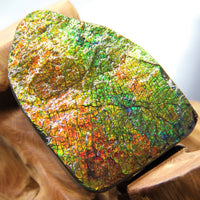 Ammolite Gem Stone #566