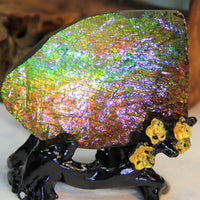 Ammolite Gem Stone #566