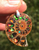 Canadian Ammolite stones inside natural ammonite fossil from Madagascar