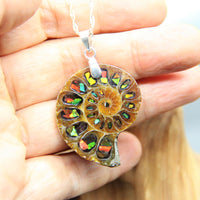 Sterling Silver Ammolite Triplet Pendant #577