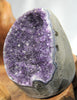 AMETHYST SEMI-GEODES BASE CUT (3 LB) #586