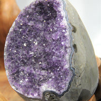 AMETHYST SEMI-GEODES BASE CUT (3 LB) #586