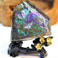 Polished Ammolite Display Stone #235