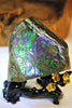 Polished Ammolite Display Stone #235