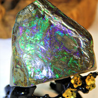 Polished Ammolite Display Stone #235