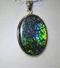 Canadian Ammolite pendant, color changes from different points of view!