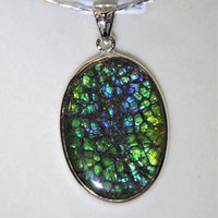 Canadian Ammolite pendant, color changes from different points of view!