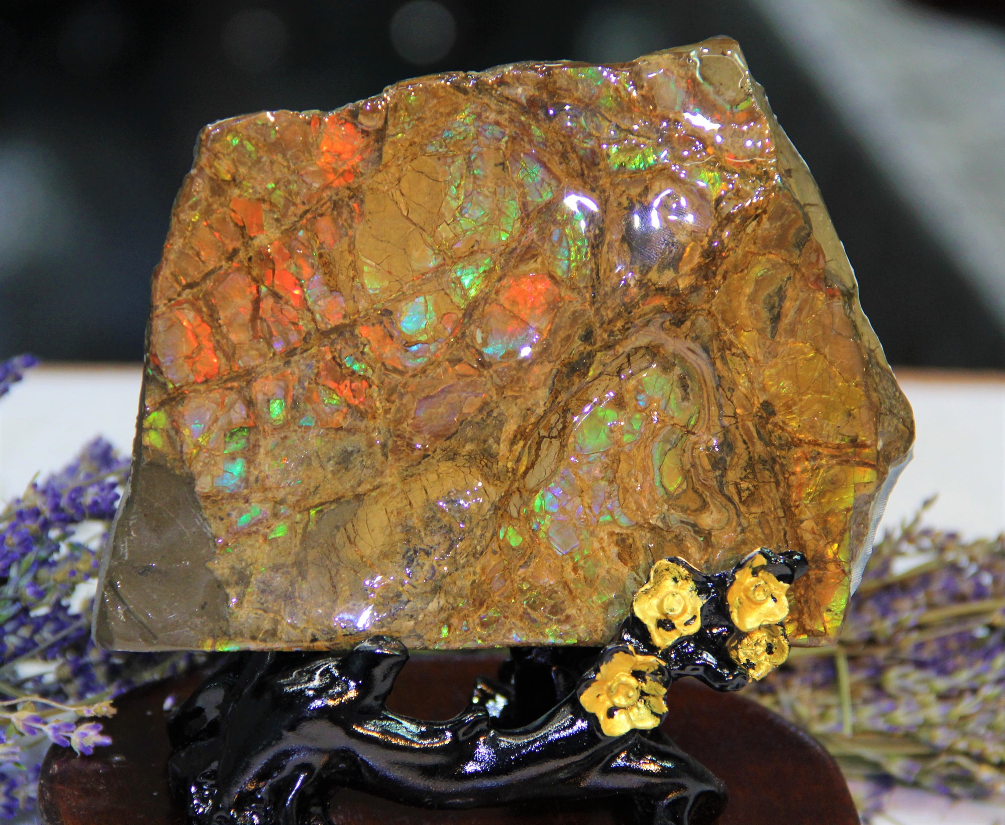 Ammolite Polished Stone #795
