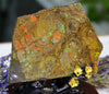 Polished Ammolite Stone #795