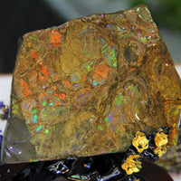 Polished Ammolite Stone #795