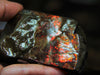 Polished Ammolite Stoe #797