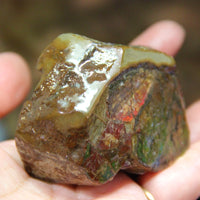 Polished Ammolite Stone #805